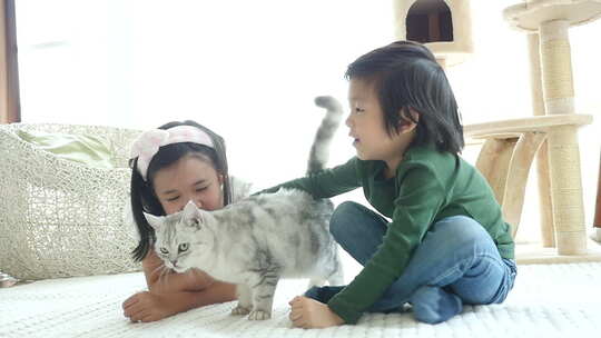 儿童和猫咪玩耍