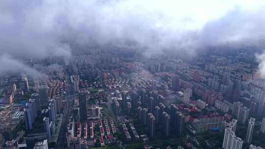 上海平流雾  云雾中的上海城市风景