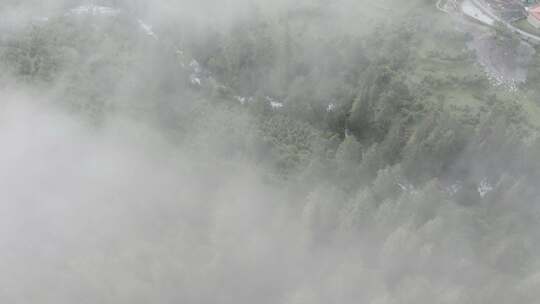 4k超清川西高原航拍湖泊牧场山谷牛群马匹