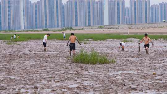 海边挖海鲜