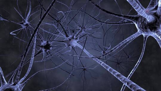 神经元交互