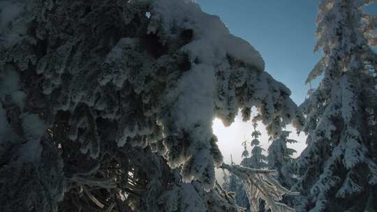 山区冬季单板滑雪