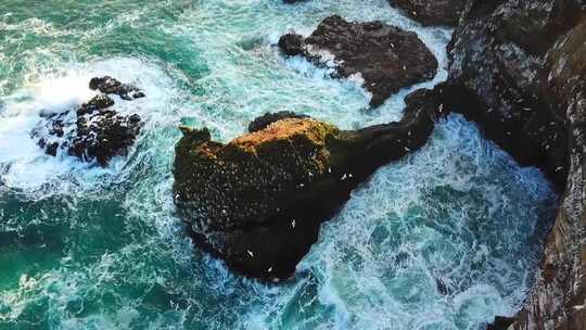 冰岛海蚀柱群日落美景 海鸥 悬崖