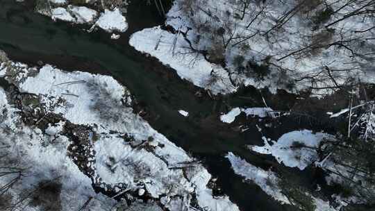 吉林长白山二道白河溪流水源地自然风光