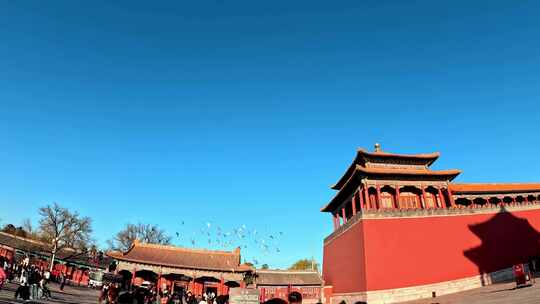 北京故宫紫禁城午门前飞翔的鸽子
