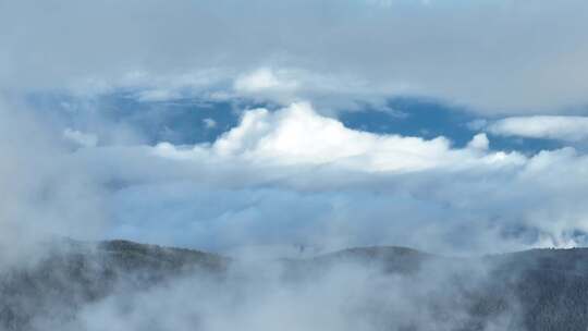 云南哈巴雪山云海山峰树木