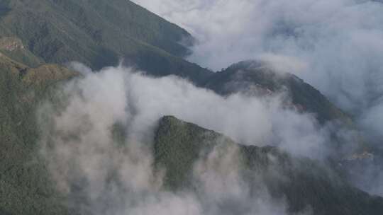 森林湖泊云海山川山脉云雾缭绕 青山绿水