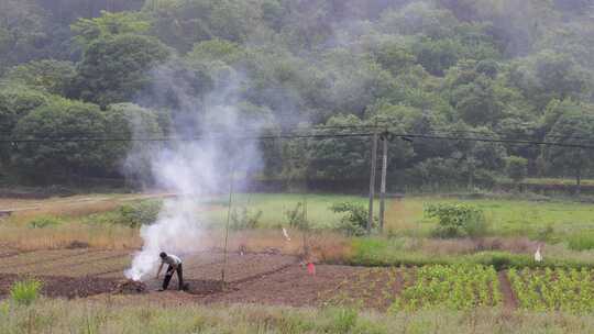 田间农民焚烧秸秆场景