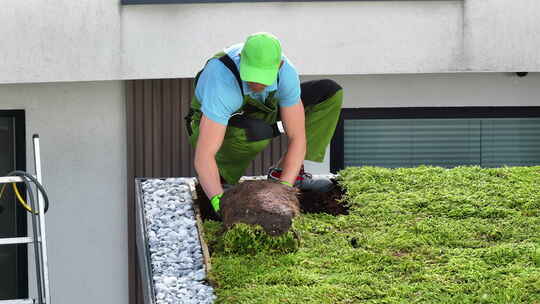 园丁在绿色屋顶上工作