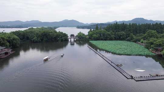 杭州西湖航拍 西湖荷花航拍