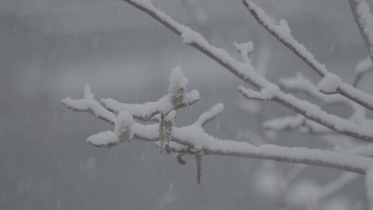 冬天雪景 雪景意境