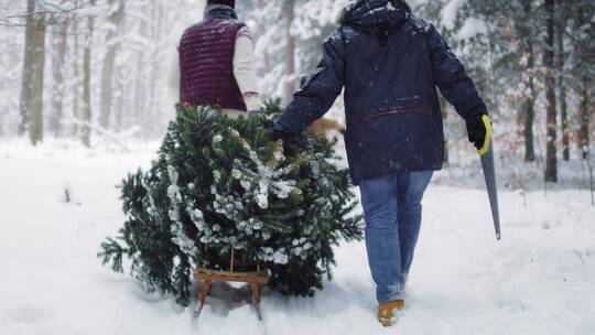 下雪天两个男人拉着圣诞树在雪地里行走