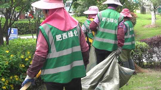 一群大妈在路边打扫园林