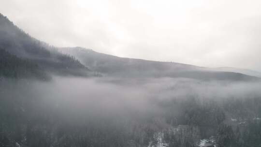 山，冬天，雪，树