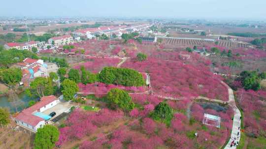 荆州恒荣梅园