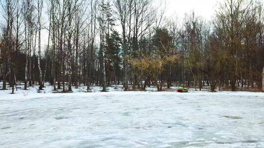 公园里的霜冻景观