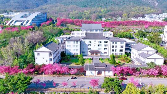 大理大学图书馆横移