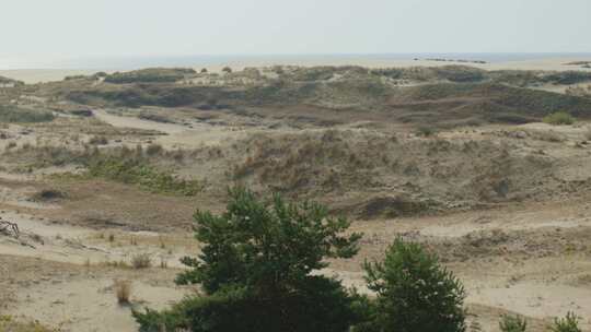 波罗的海球场上的沙丘泻湖库奥尼亚湾带草的沙丘