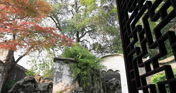 秋天苏州园林唯美红枫古建筑局部特写