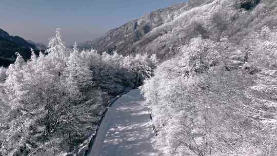 陕西秦岭分水岭雾凇冰挂雪景