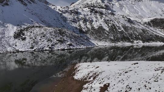 青海互助浪士当雪山树木航拍视频