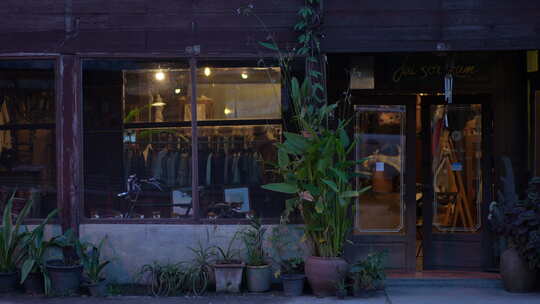 鲜花花店餐厅咖啡馆酒馆城市郊外夜景夜市