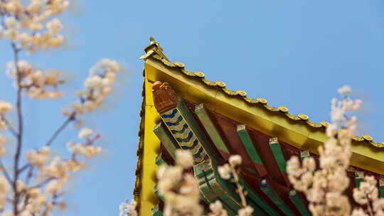 古代建筑 中式建筑 宫殿 寺庙 佛教