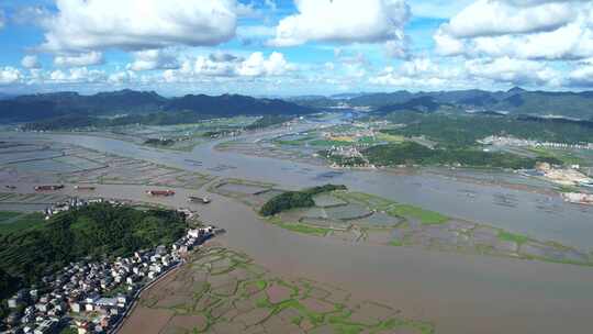 航拍温州乐清雁荡山红树林保护区蓝色海湾