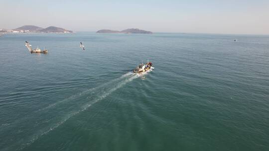 青岛崂山海边渔船航拍海鸥飞过Dlog
