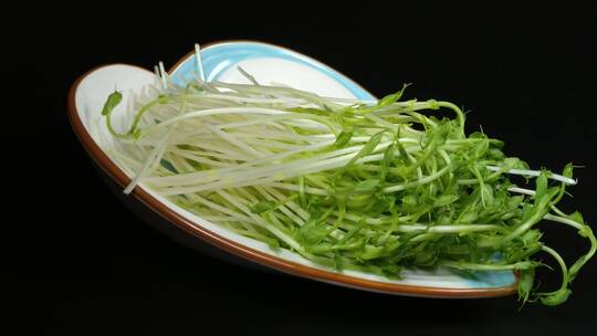 绿色豆芽有机蔬菜