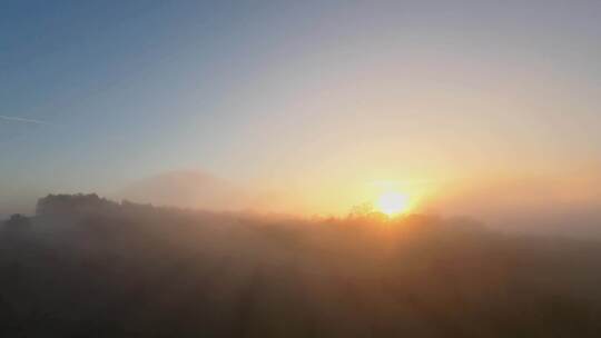 清晨日出浓雾气森林丁达尔光云海森林迷雾