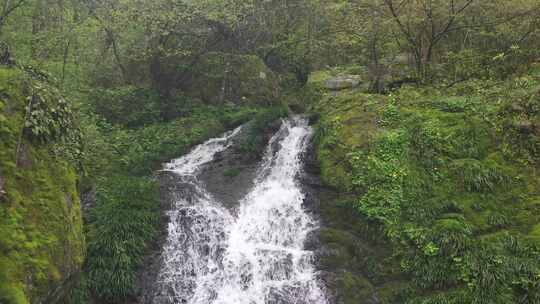 小溪航拍森林大自然流水风景树林山水自然