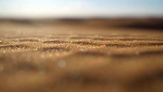 金色光斑背景特写