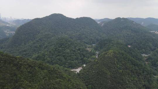 航拍祖国大好河山青山森林植物丘陵