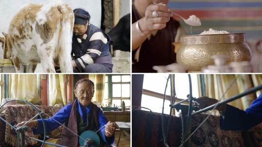 藏族 藏民 藏区 牧民 生活视频素材模板下载