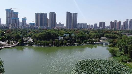 航拍湖北武汉月湖风景区