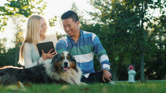 一对夫妻和狗坐在草坪上玩平板