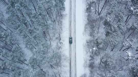 航拍森林冬季树木公路