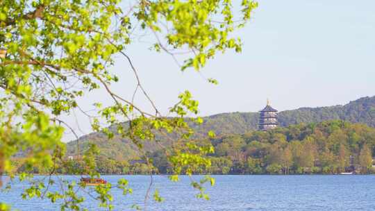 杭州西湖春天风景