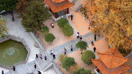 航拍平顶山文殊寺银杏视频素材模板下载