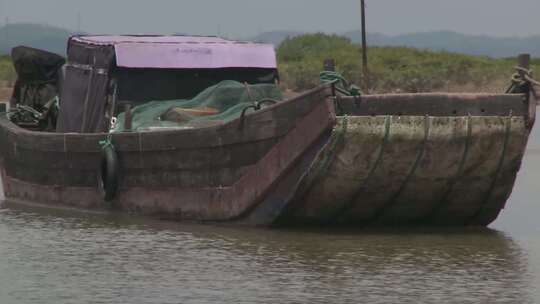 J广西北仑河口红树林船舶实拍视频