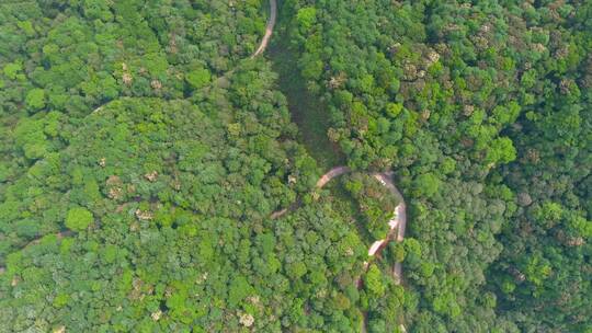 4K航拍山区盘山森林公路