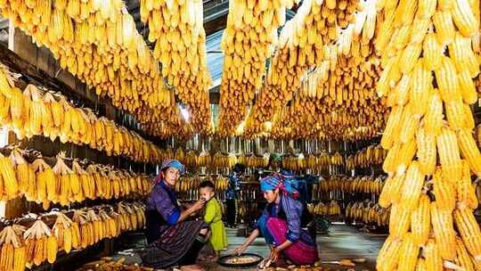 秋色斑斓 橙黄 丰盈 温暖 宁静 秋日 秋色斑斓 橙黄 丰盈 温暖 宁静 秋日