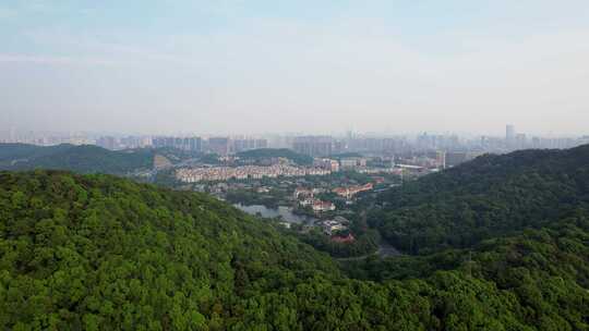 杭州滨江区城市风景全景航拍