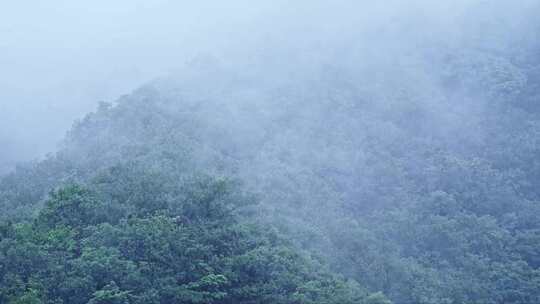 夏季山林下雨天水雾云雾