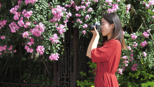 春天中国女性美女在公园拍照