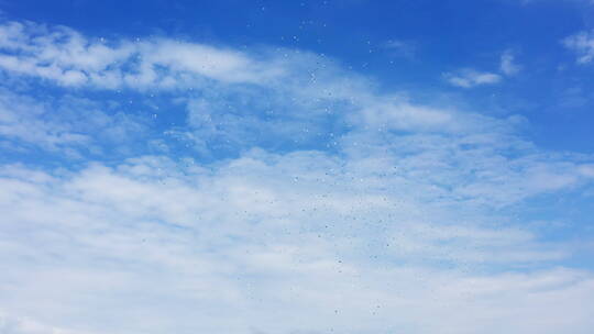 成百上千的气球放飞在蓝天下