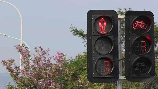 街道路口交通红绿灯指示灯