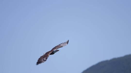 山峰雪山登山攀登励志鹰击长空企业精神