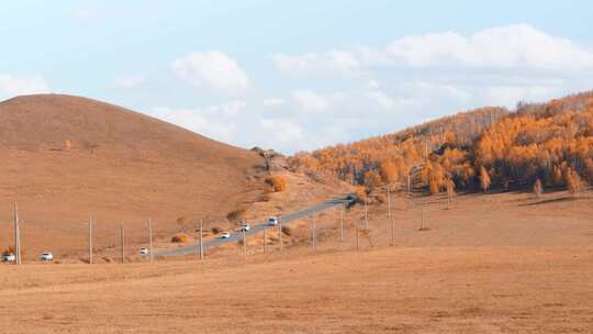 乌兰布统坝上草原秋季公路风光视频素材模板下载